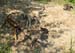 09-Gruppe-2